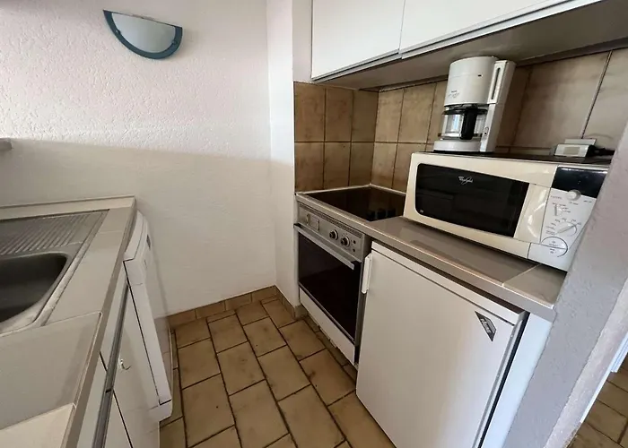 Appartement Grand 3 Pieces Avec Terrasse, Lave-linge Et Lave-vaisselle, Animaux Acceptes - Fr-1-702-24 Agde