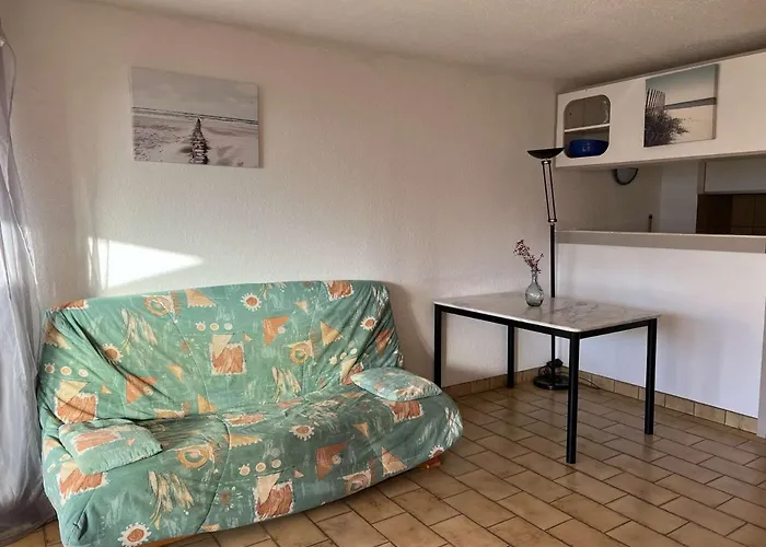 Grand 3 Pieces Avec Terrasse, Lave-linge Et Lave-vaisselle, Animaux Acceptes - Fr-1-702-24 Agde