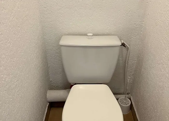 Apartamento Grand 3 Pieces Avec Terrasse, Lave-linge Et Lave-vaisselle, Animaux Acceptes - Fr-1-702-24 *